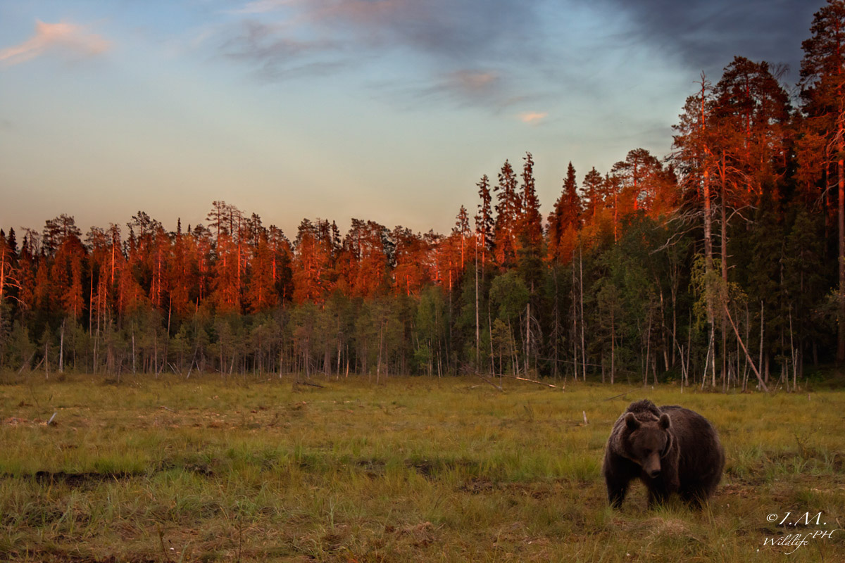 At the going down of the sun