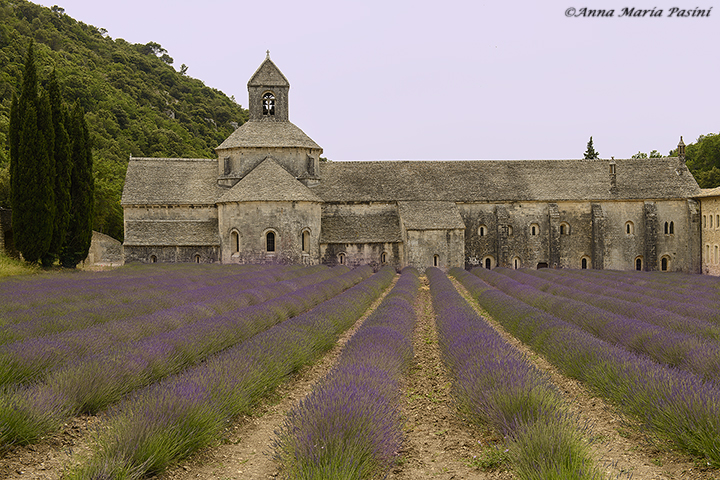 Church of Senanque