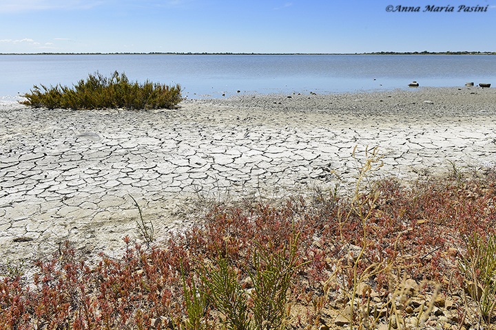Saintes Maries de la Mer