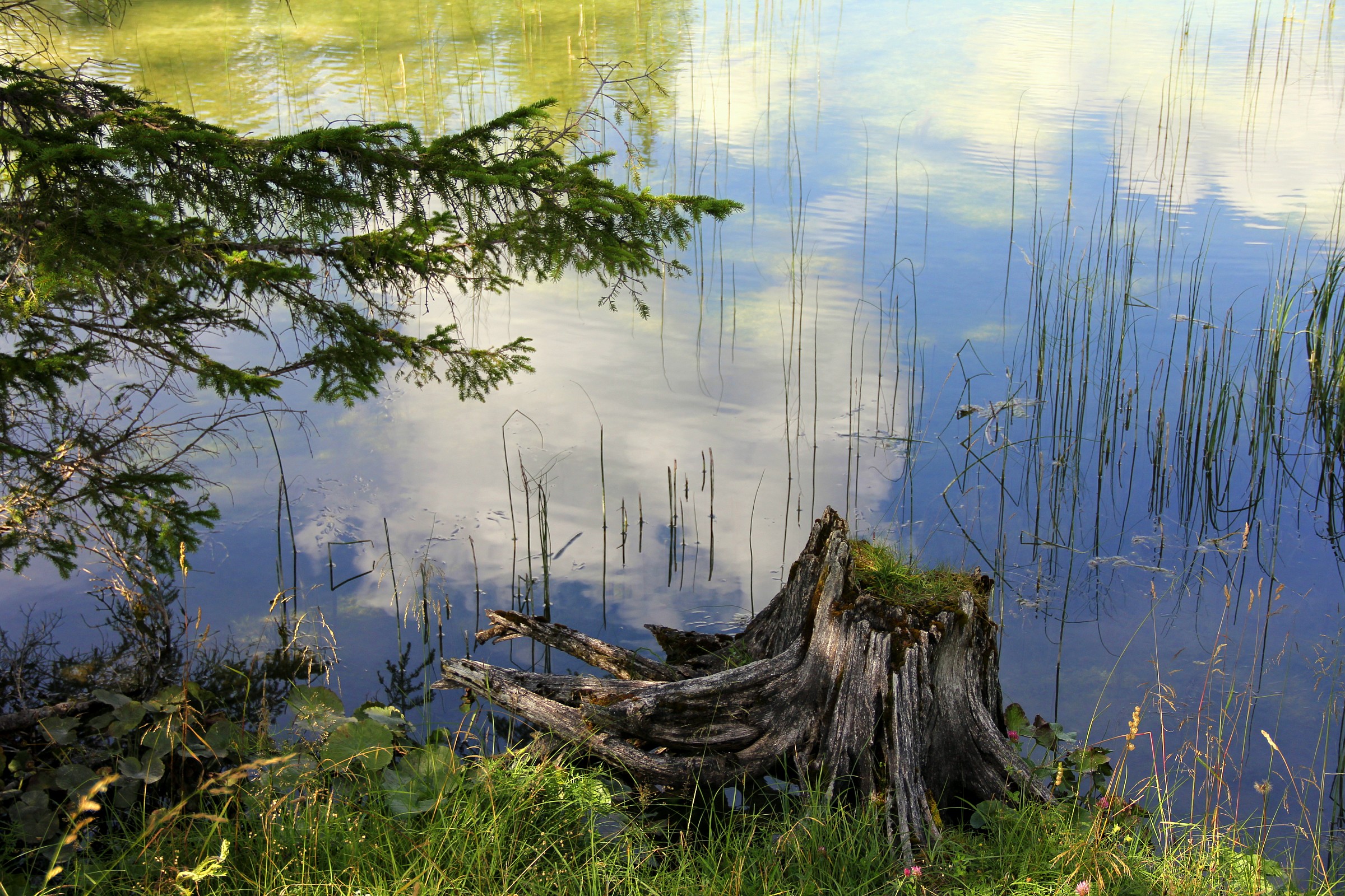 Scorcio Lago di Dobbiaco