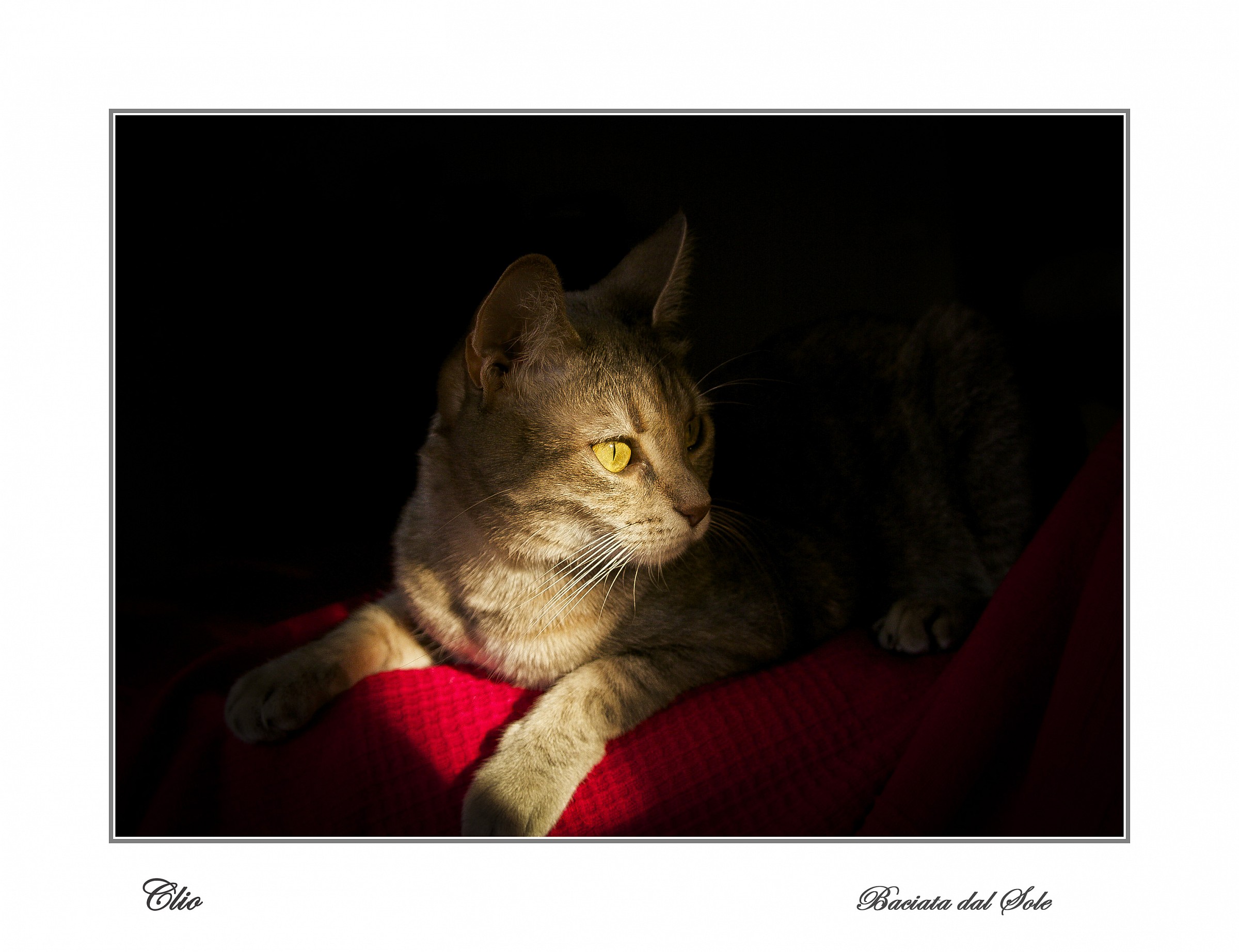 Clio  Baciata dal sole