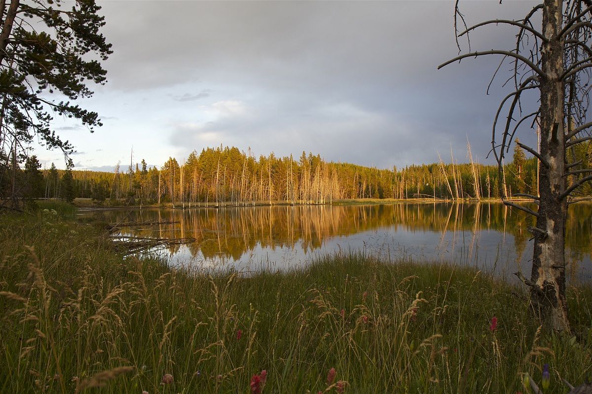 Yellowstone NP