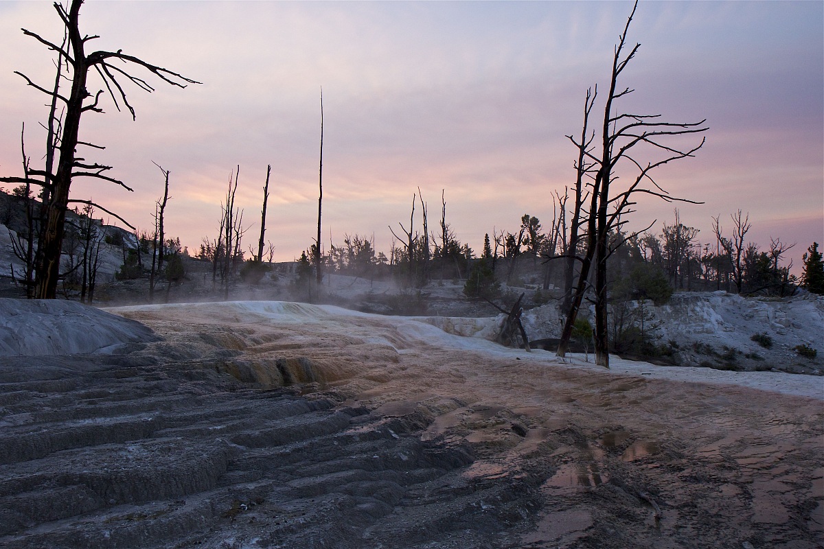 Yellowstone NP - Mammoth Hot Springs