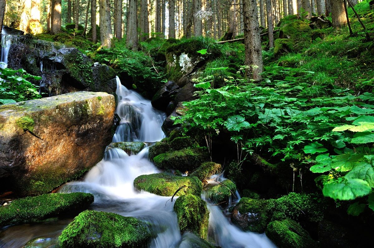 stream near san martino castrozza