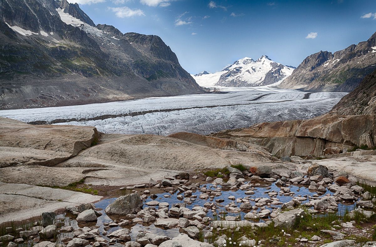 Aletsch