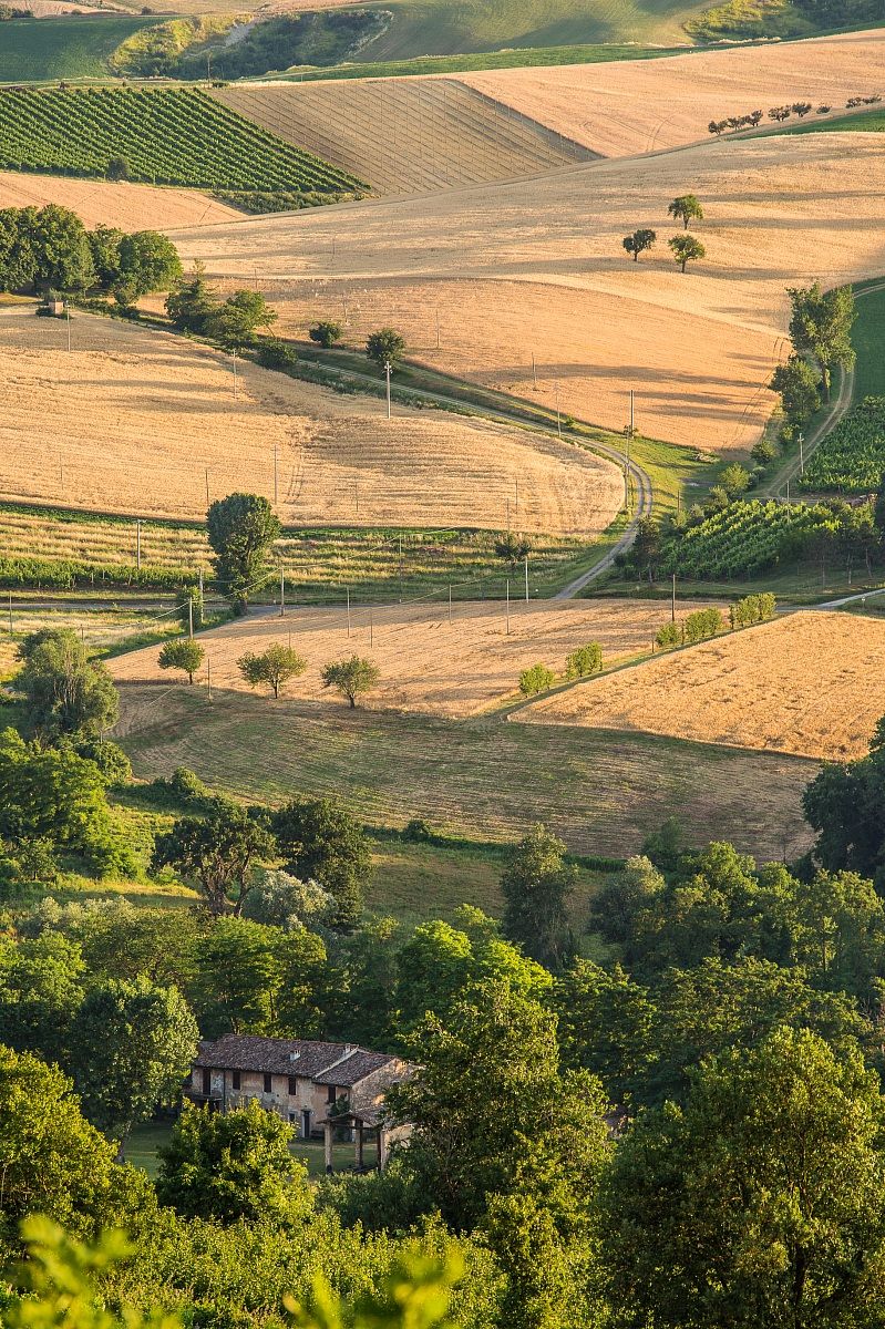 Campagna d'estate 2