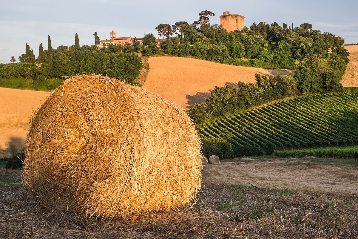Torre di Oriolo dei Fichi