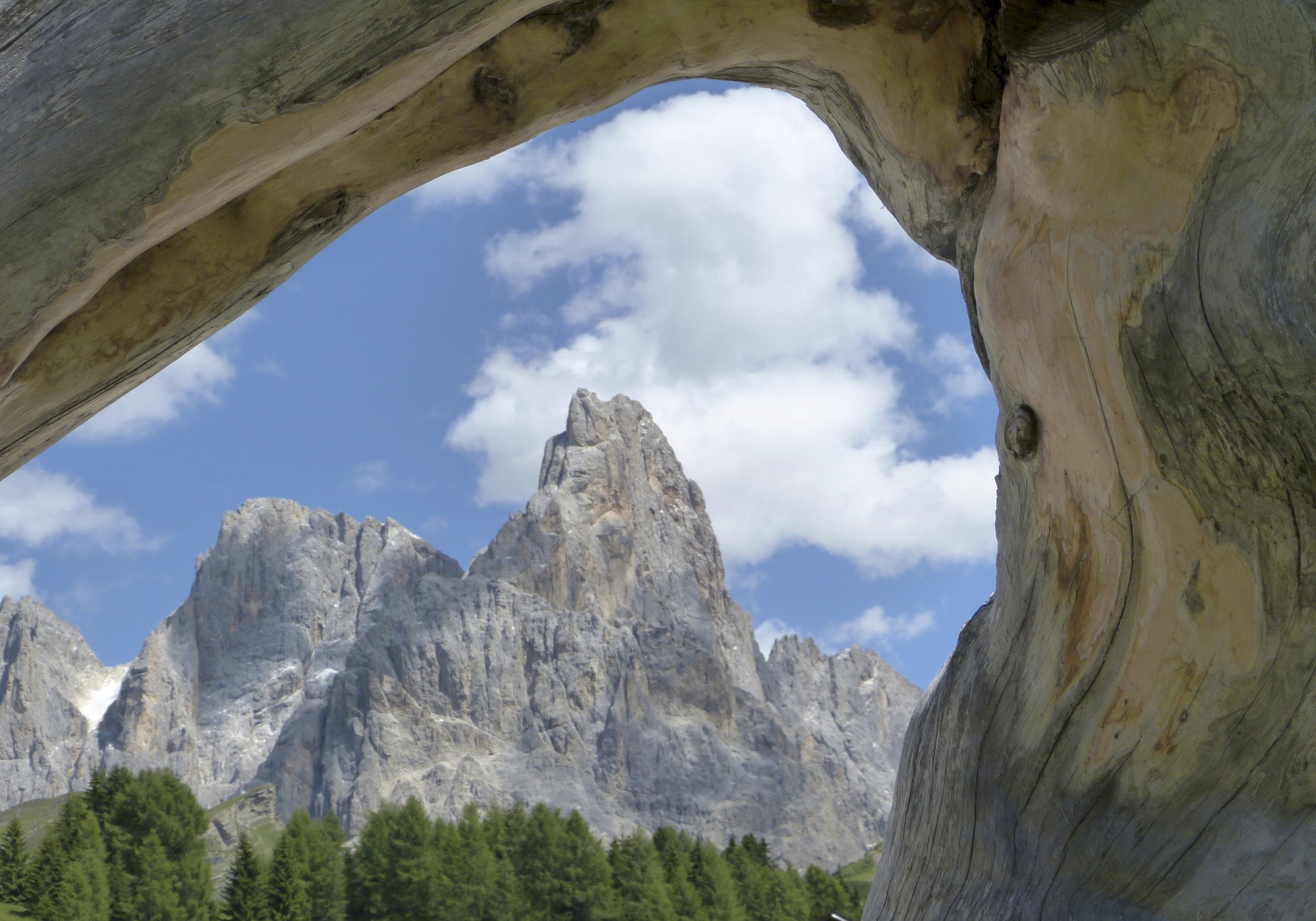 pala di san martino (dal passo rolle)