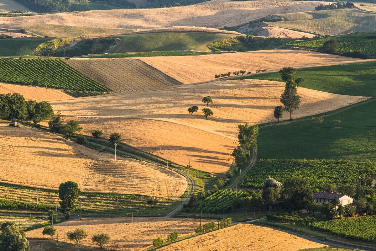 Campagna d'estate