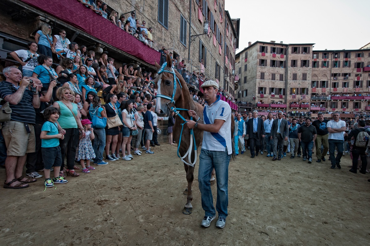 Il cavallo dell' Onda