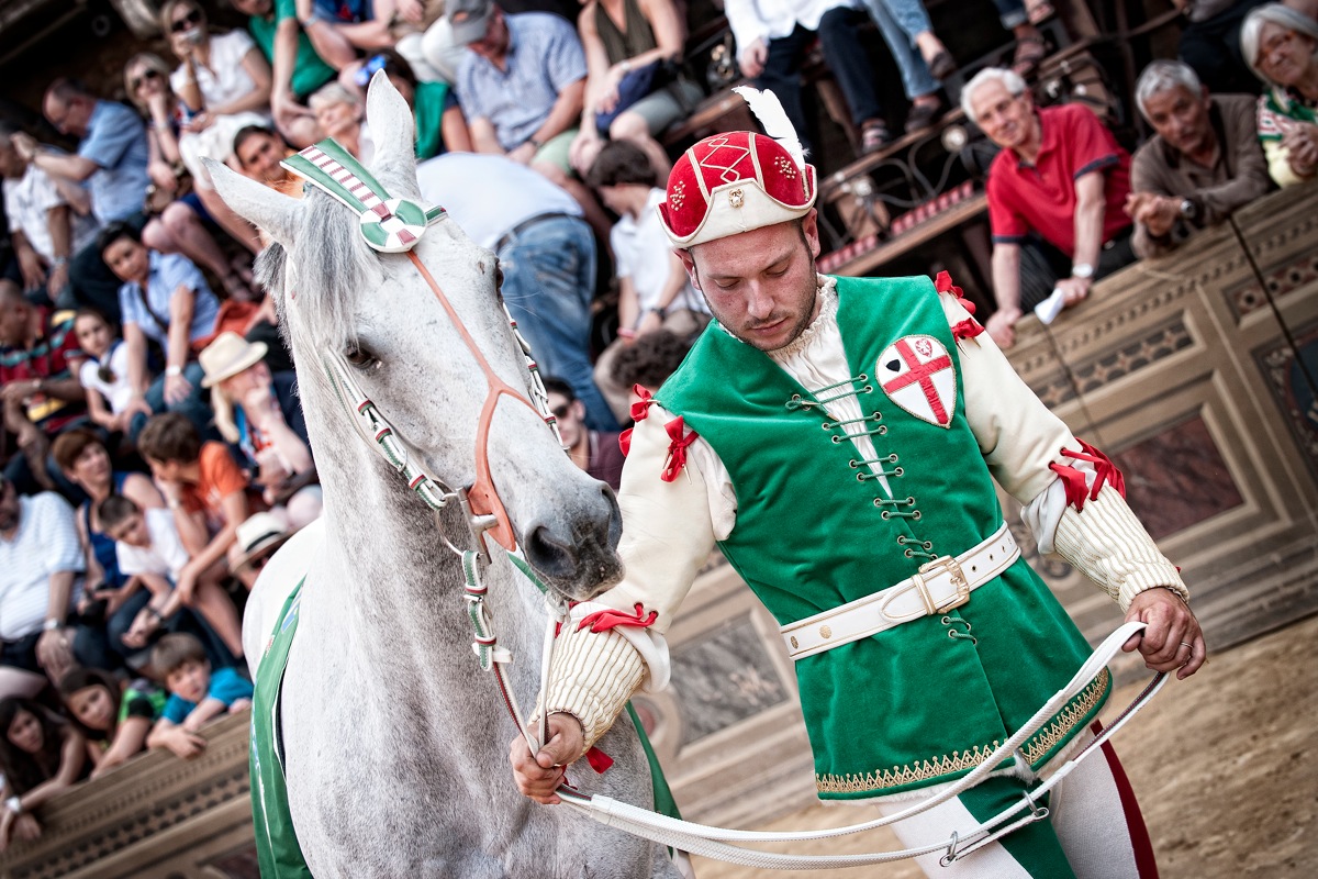 Il cavallo della nobile contrada dell' Oca