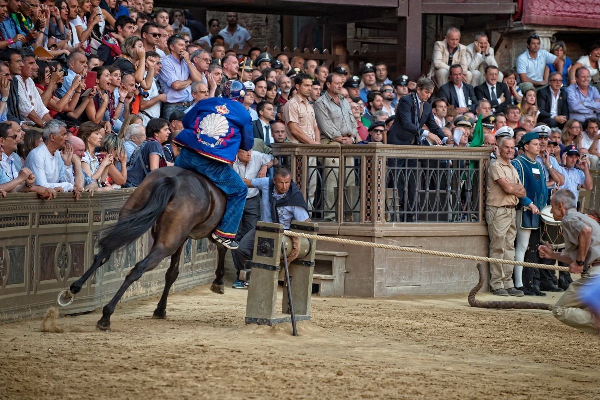 La rincorsa del Nicchio