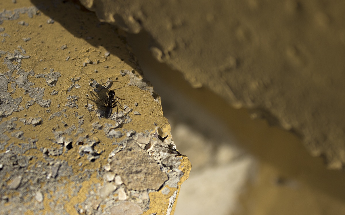 Vicino al precipizio