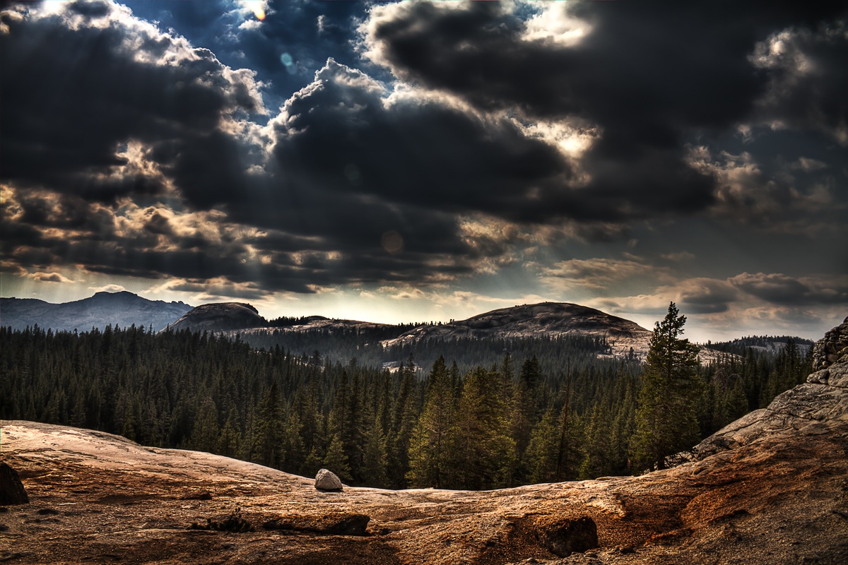 Uno sguardo sul mondo