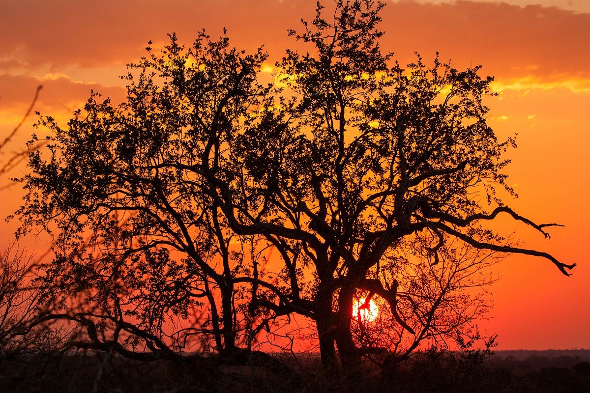 Sunset at Kruger