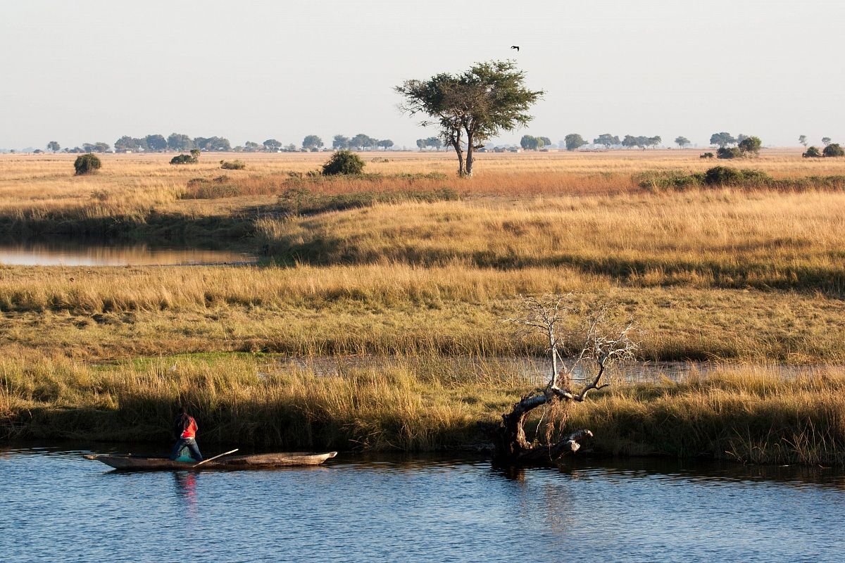 Chobe River