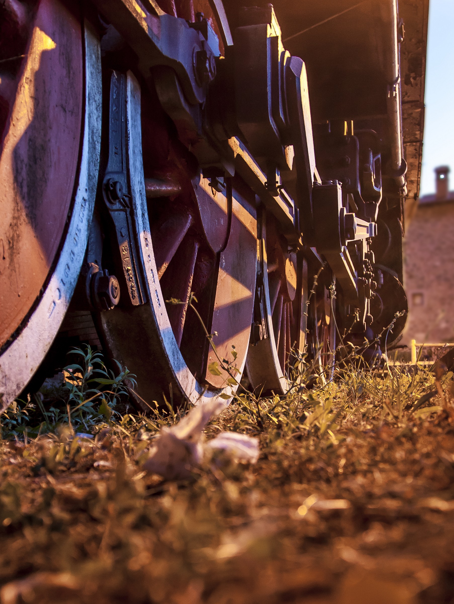 Il riposo della vecchia signora