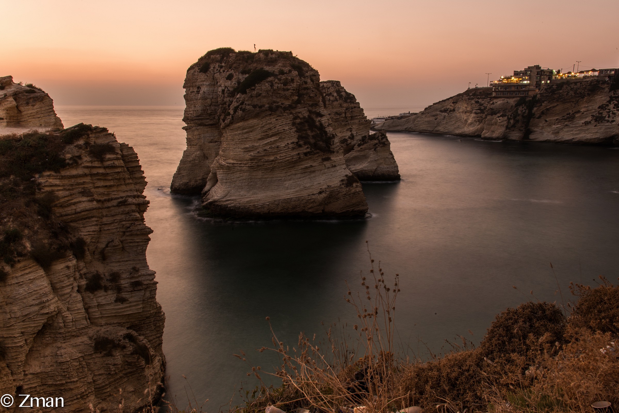 Il Rock Pigeon Alrawshe