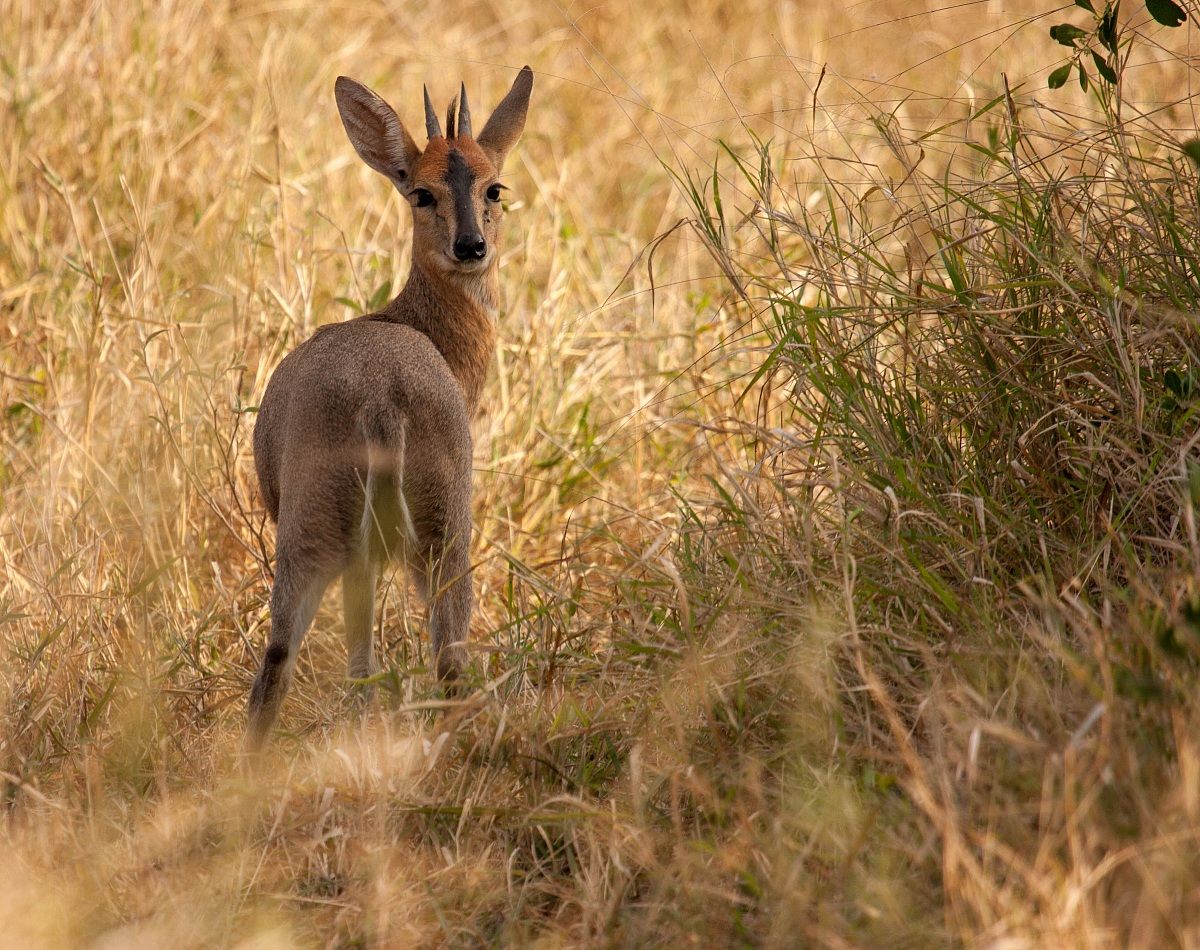 "I said stop following me!"