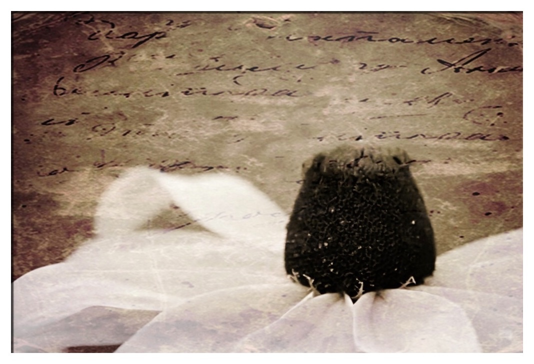 Le parole che non ti ho detto...