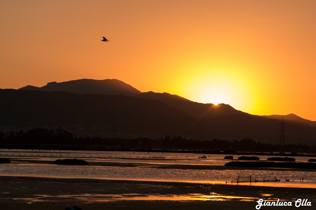 Tramonto sullo stagno dei fenicotteri