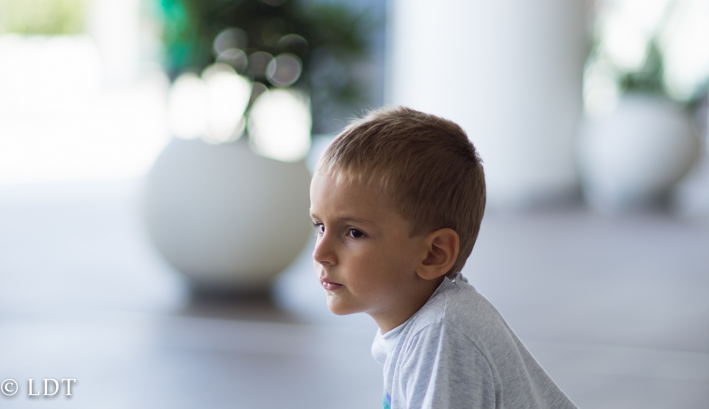 nex 5n + summilux 75/1.4