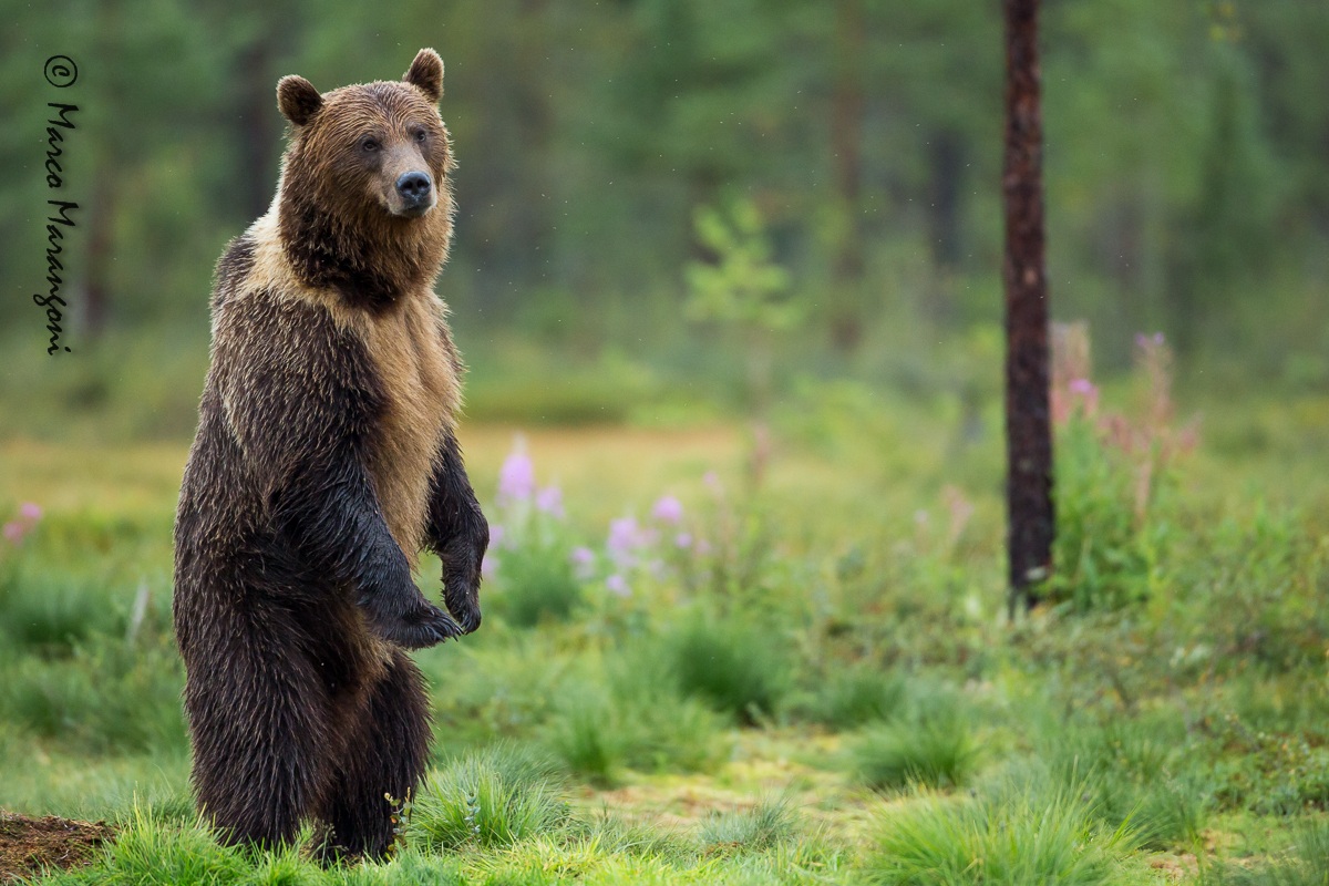 In piedi sotto la pioggia
