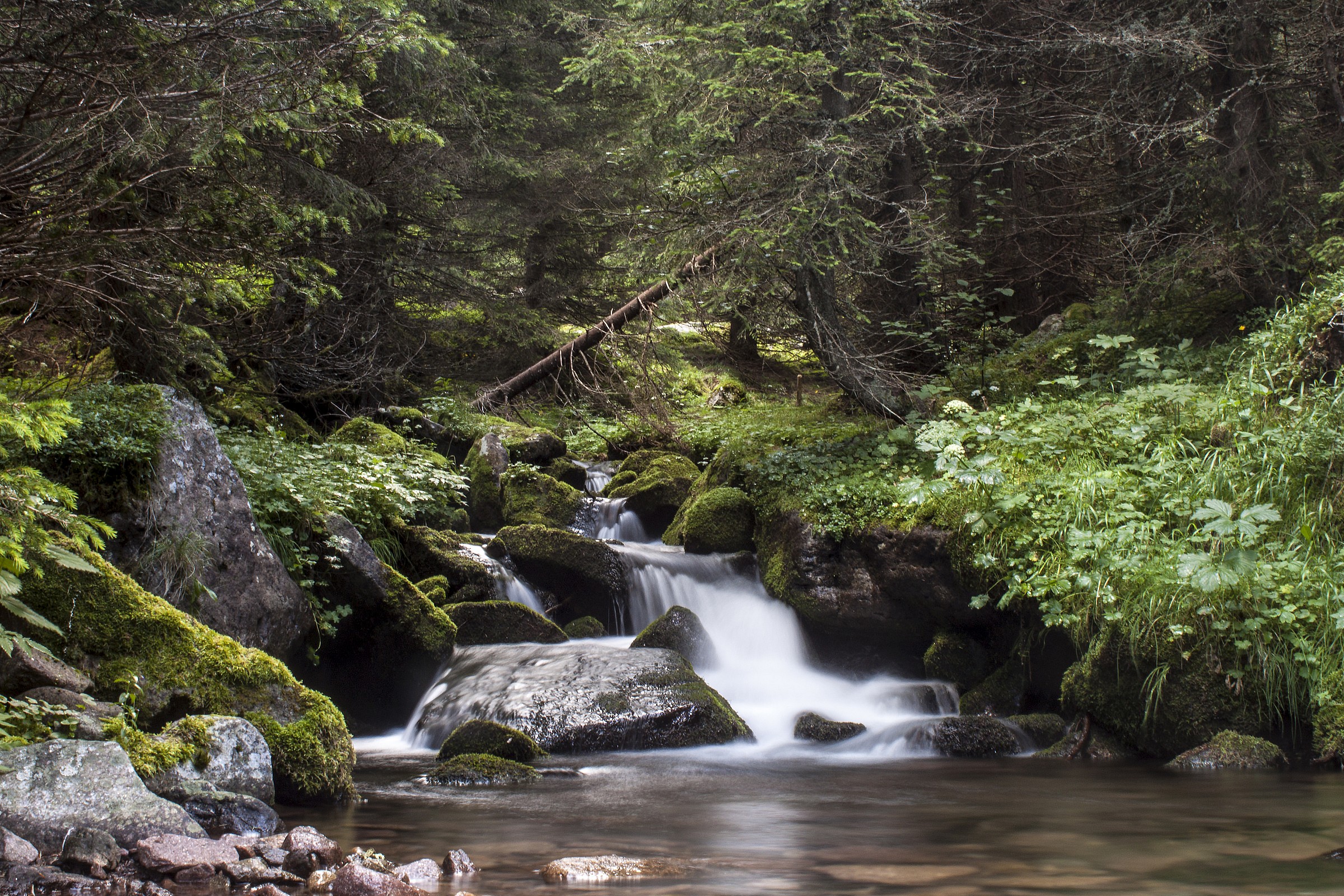 Brook in Valmaggiore
