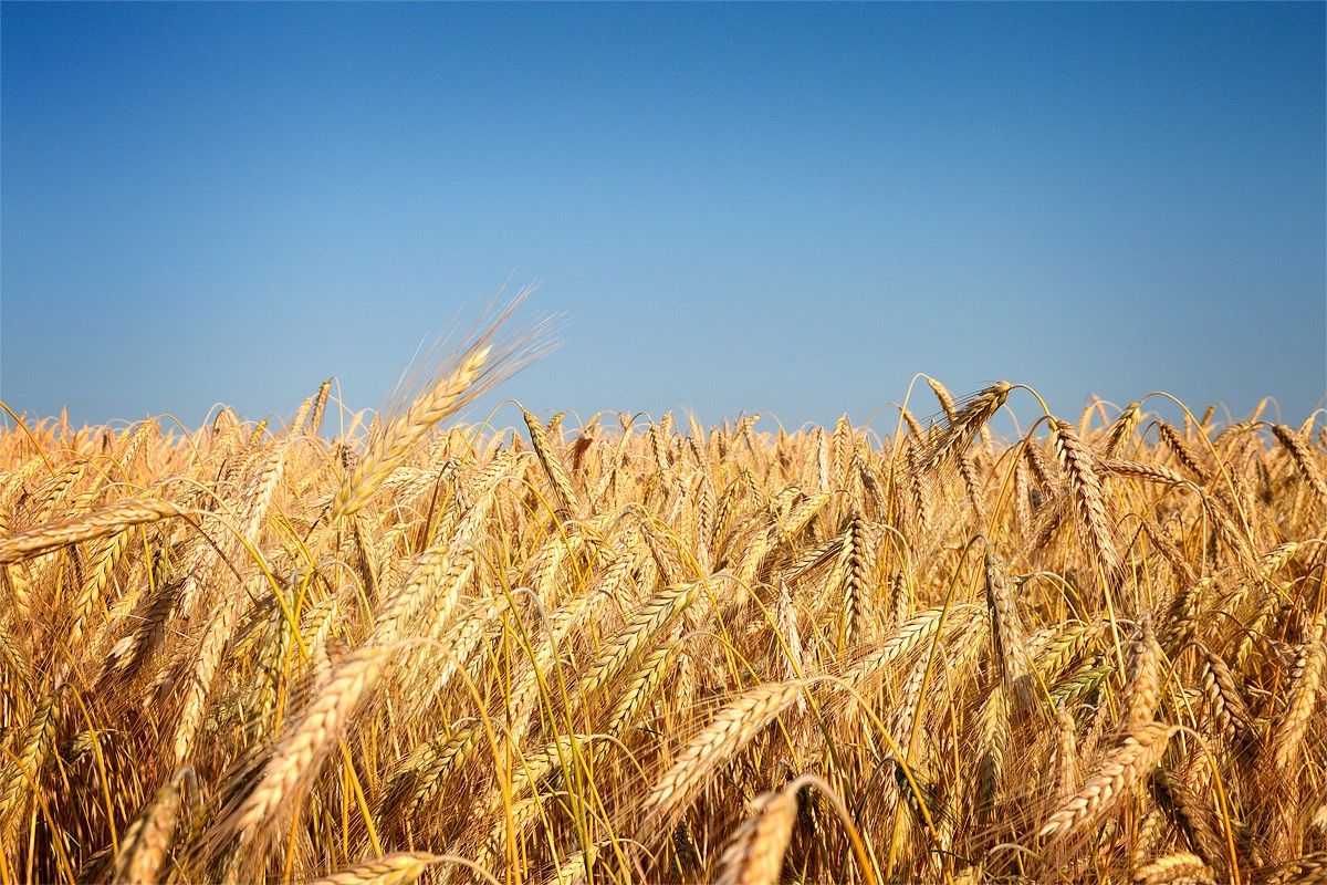 Couple under a hot summer sun