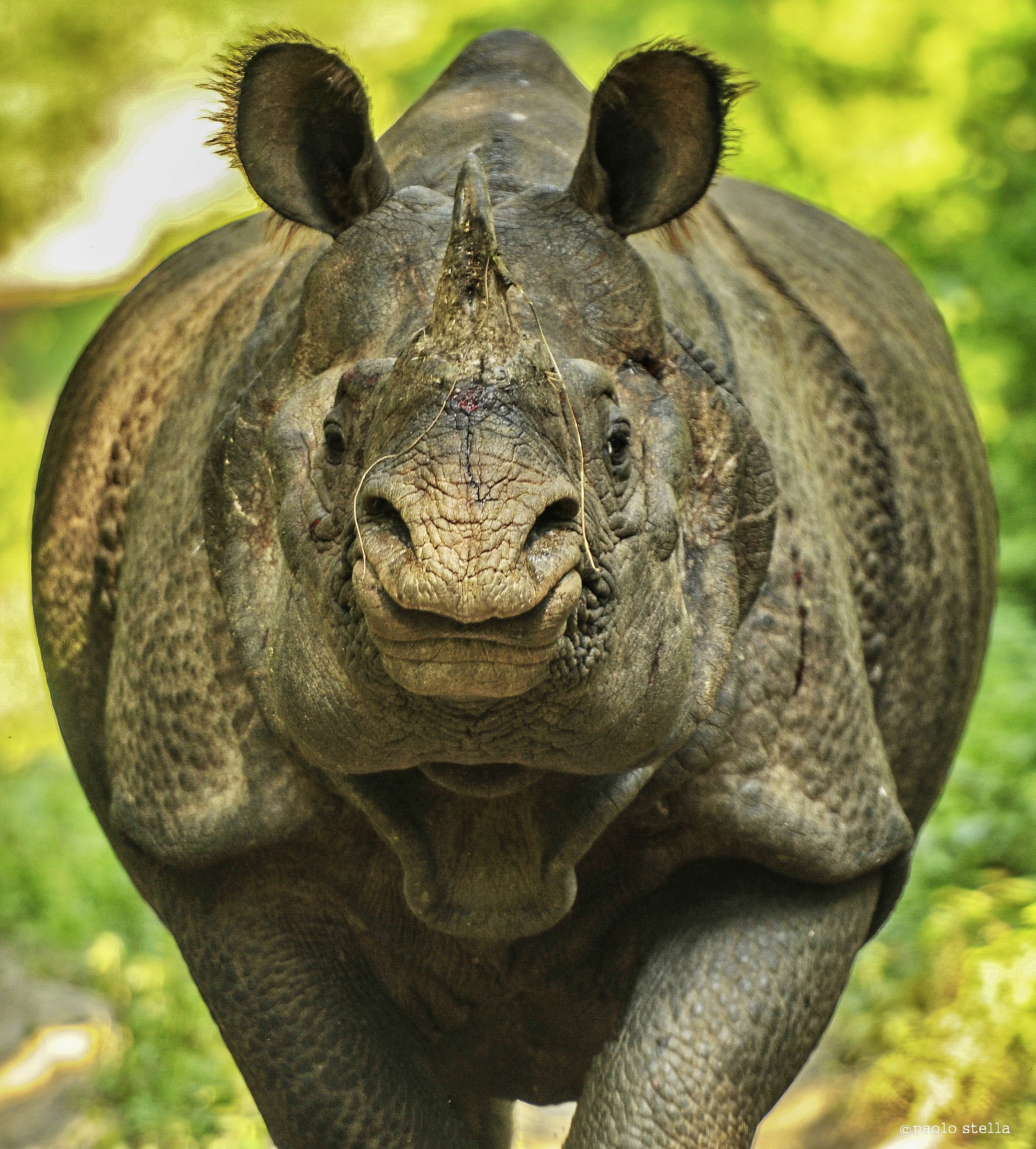 incotro ravvicinato......