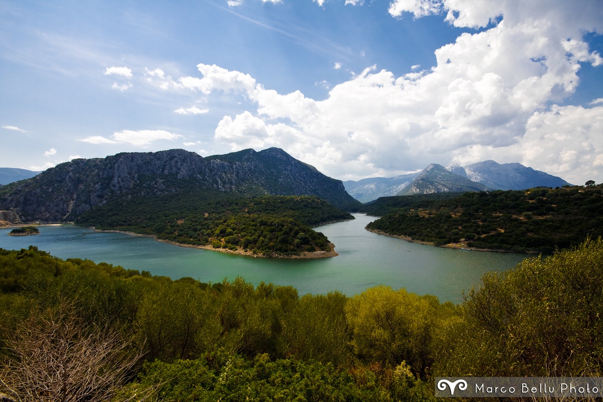 Postcards from Cedrino