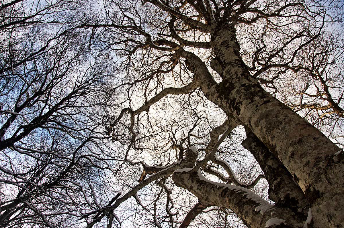 Fino a toccare il cielo - Caronia (Me)