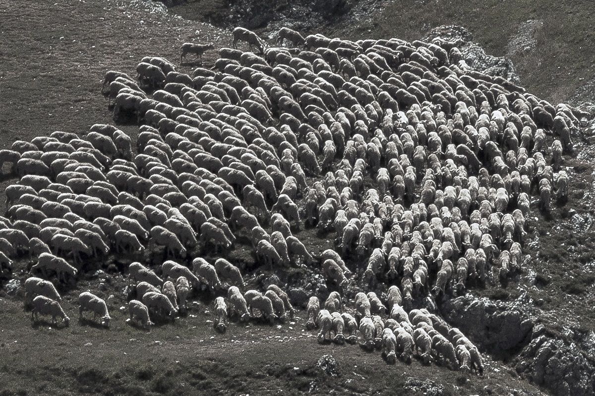 Fontevetica Gran Sasso Aq