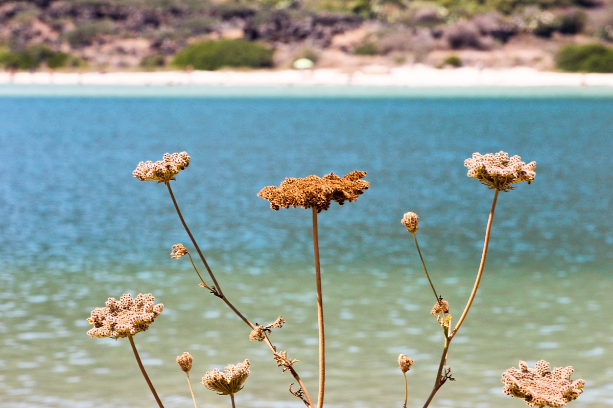 Lago di Venere - Pantelleria