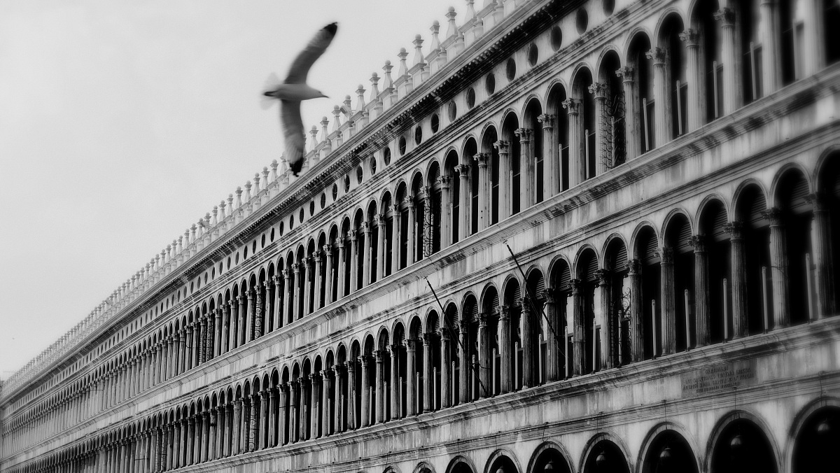 Piazza San Marco, Venice