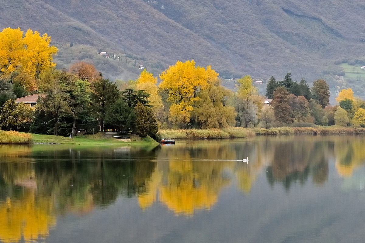 Riflesssi autunnali 3