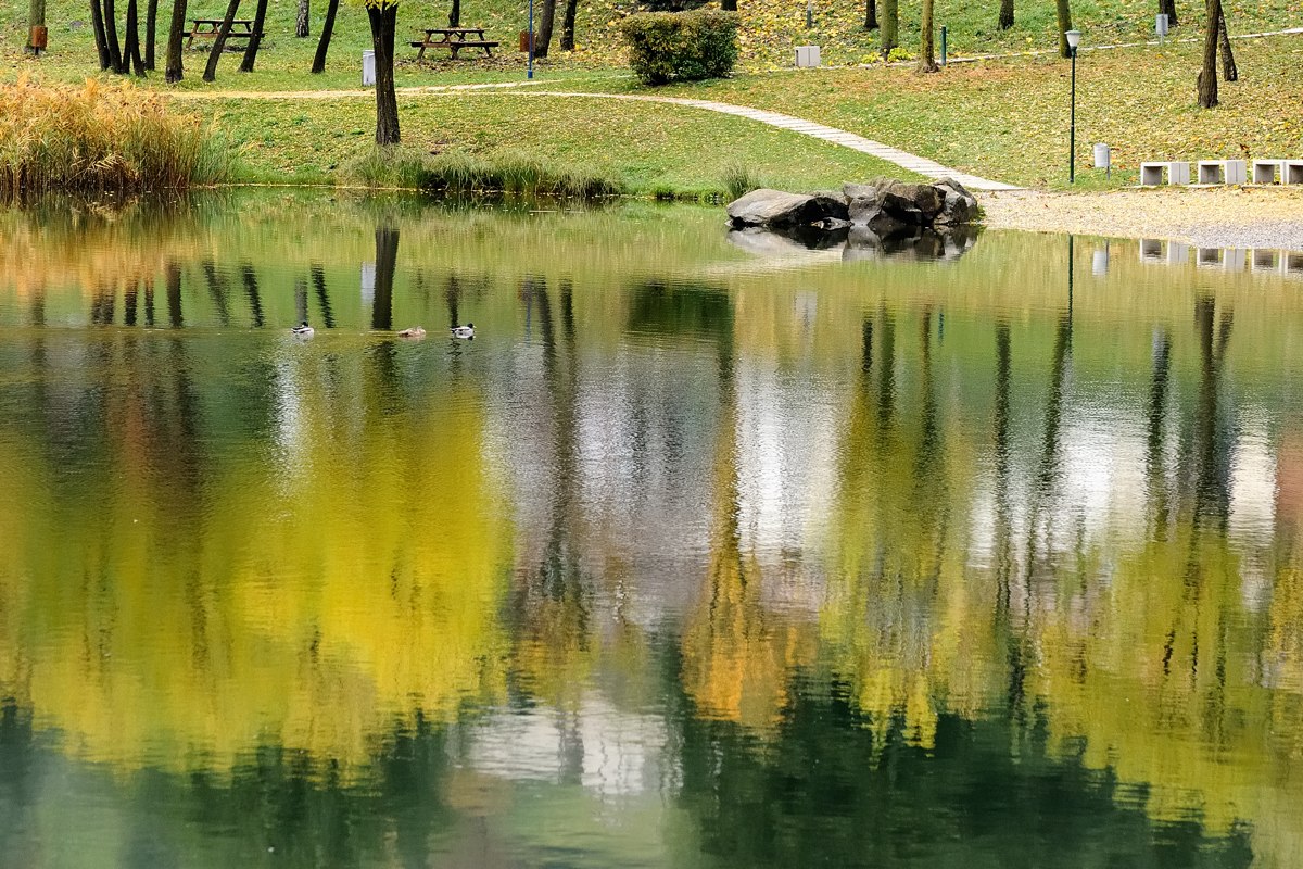 Riflesssi autunnali 4