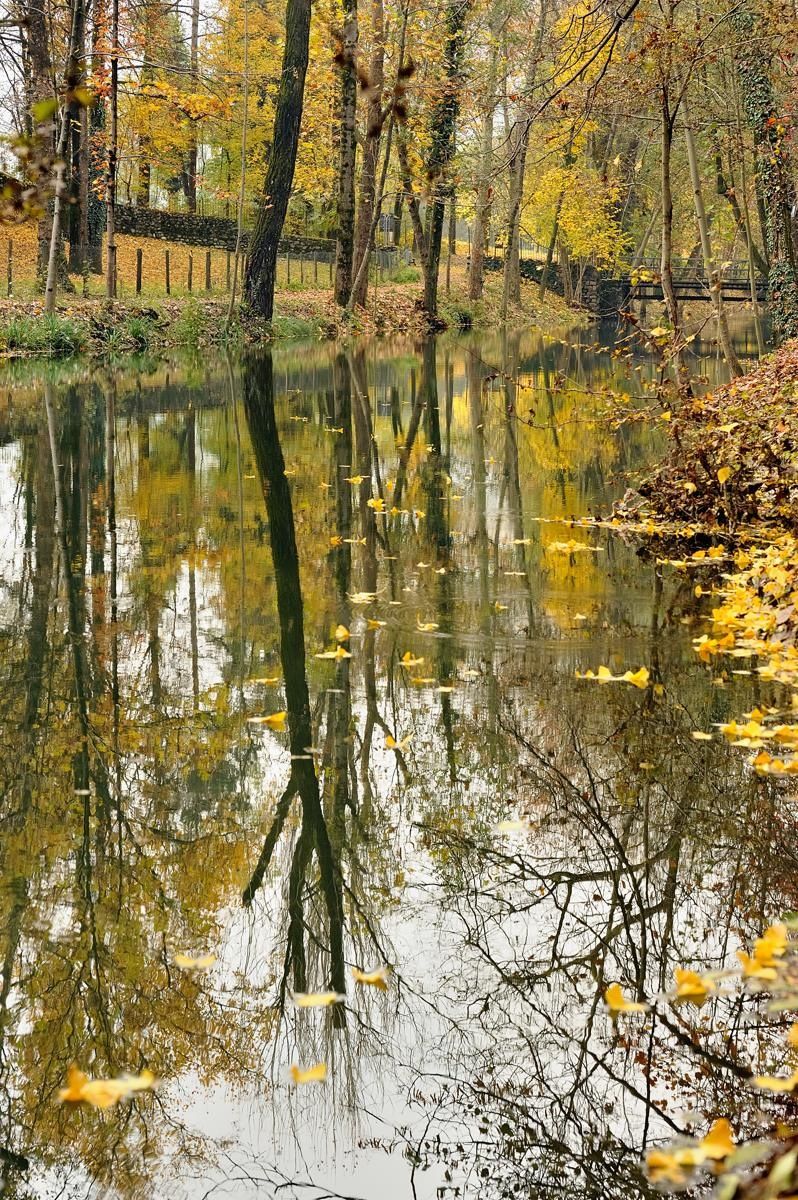 Riflesssi autunnali 5