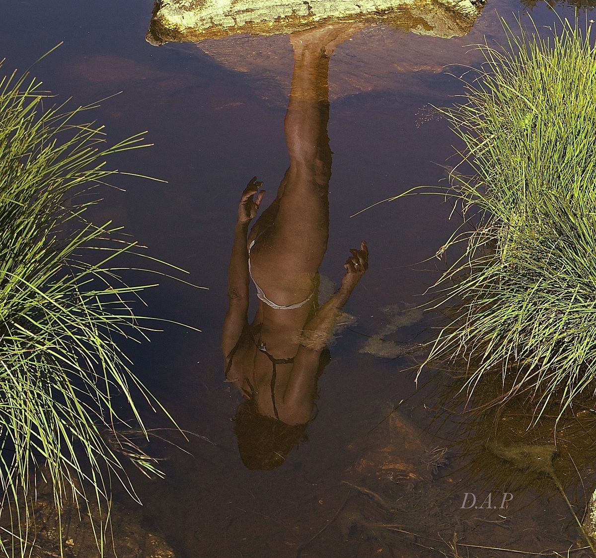 Il riflesso della Sirenetta di lago