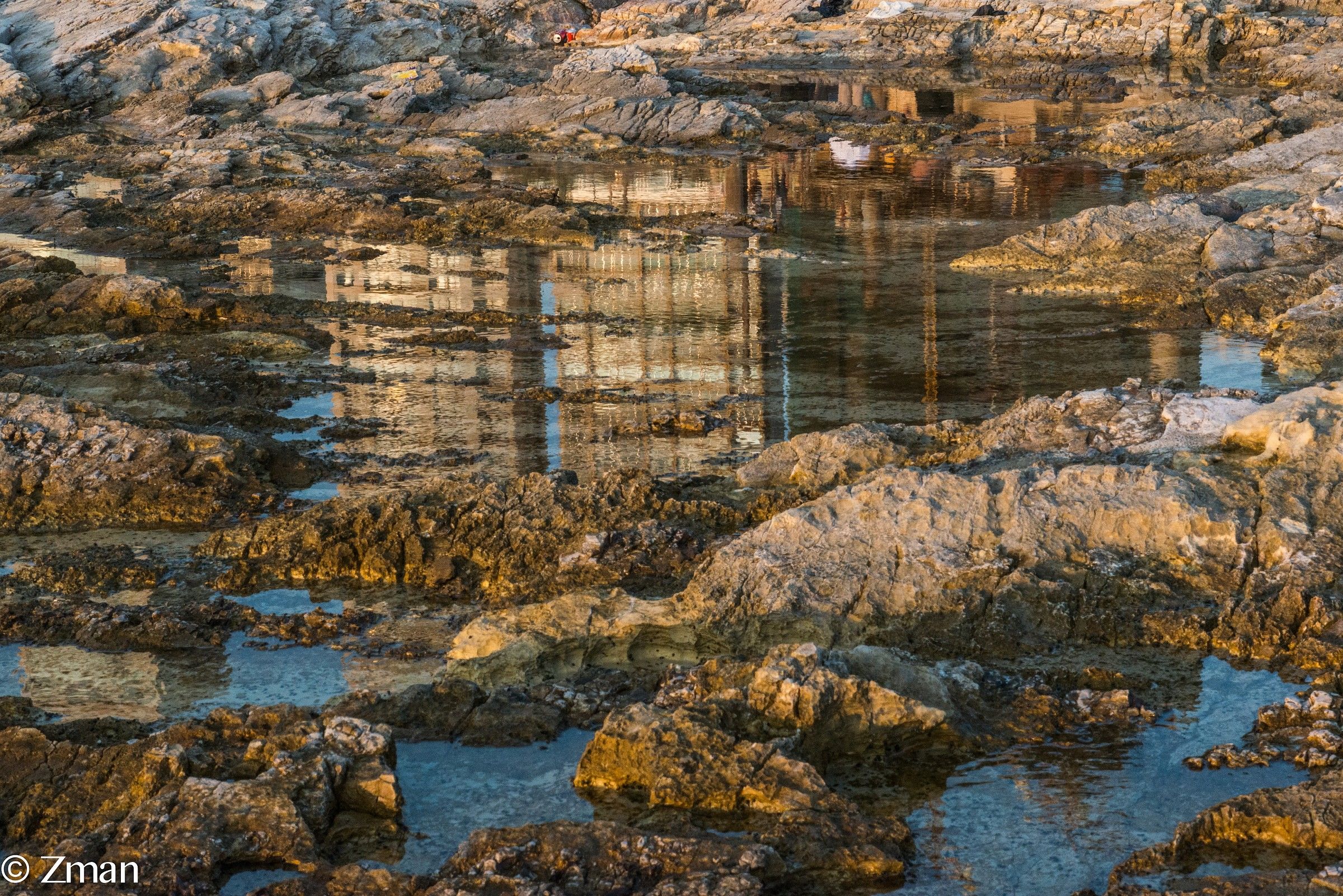 Reflection in the Small pool of Water