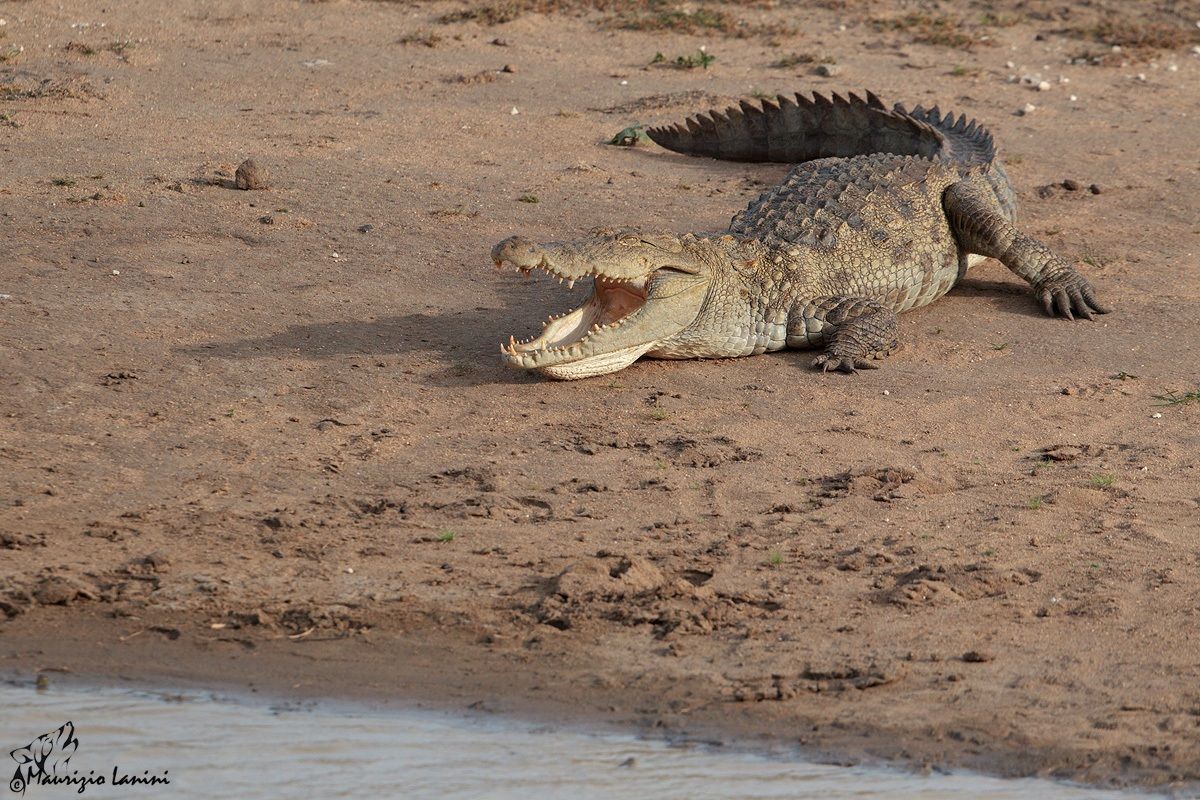 Un pò di sole fa sempre bene!!