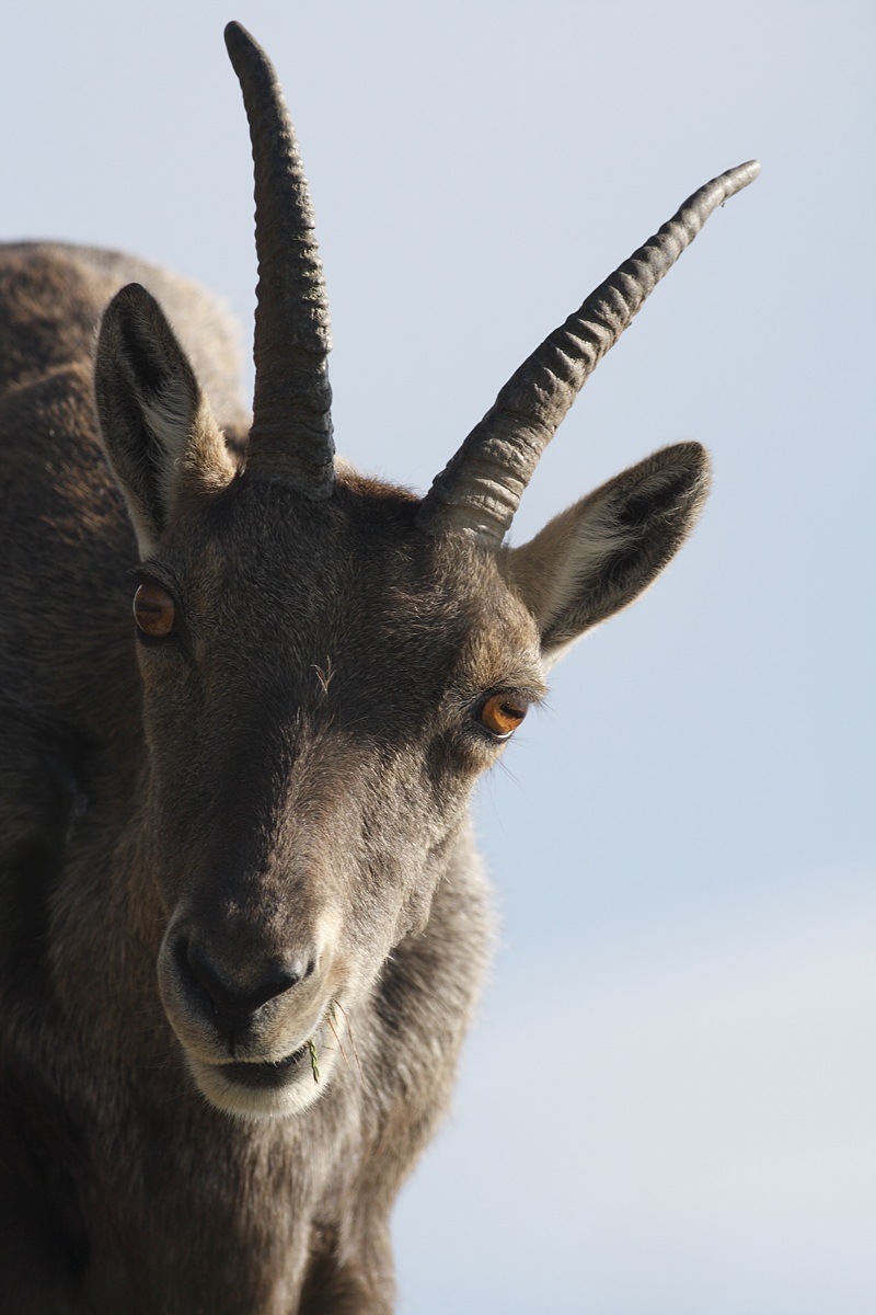 Don't stand so close to me