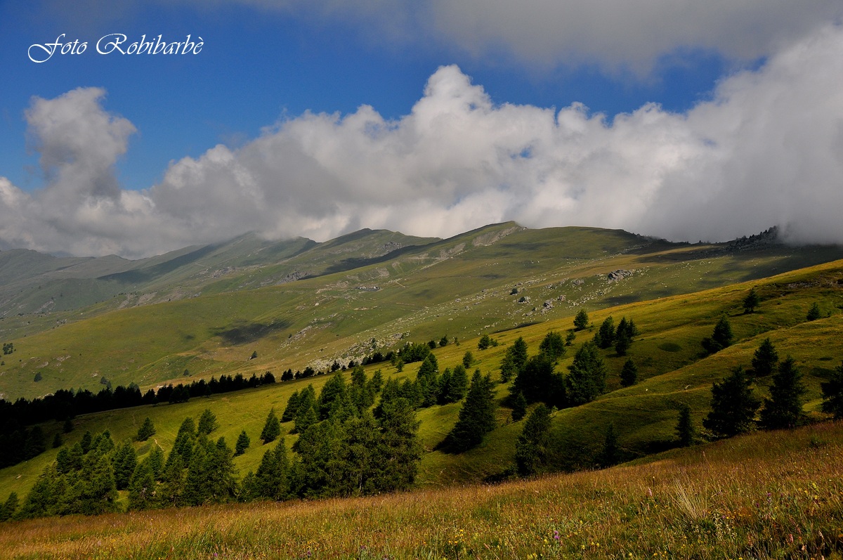 La nebbia agli irti colli sale ......