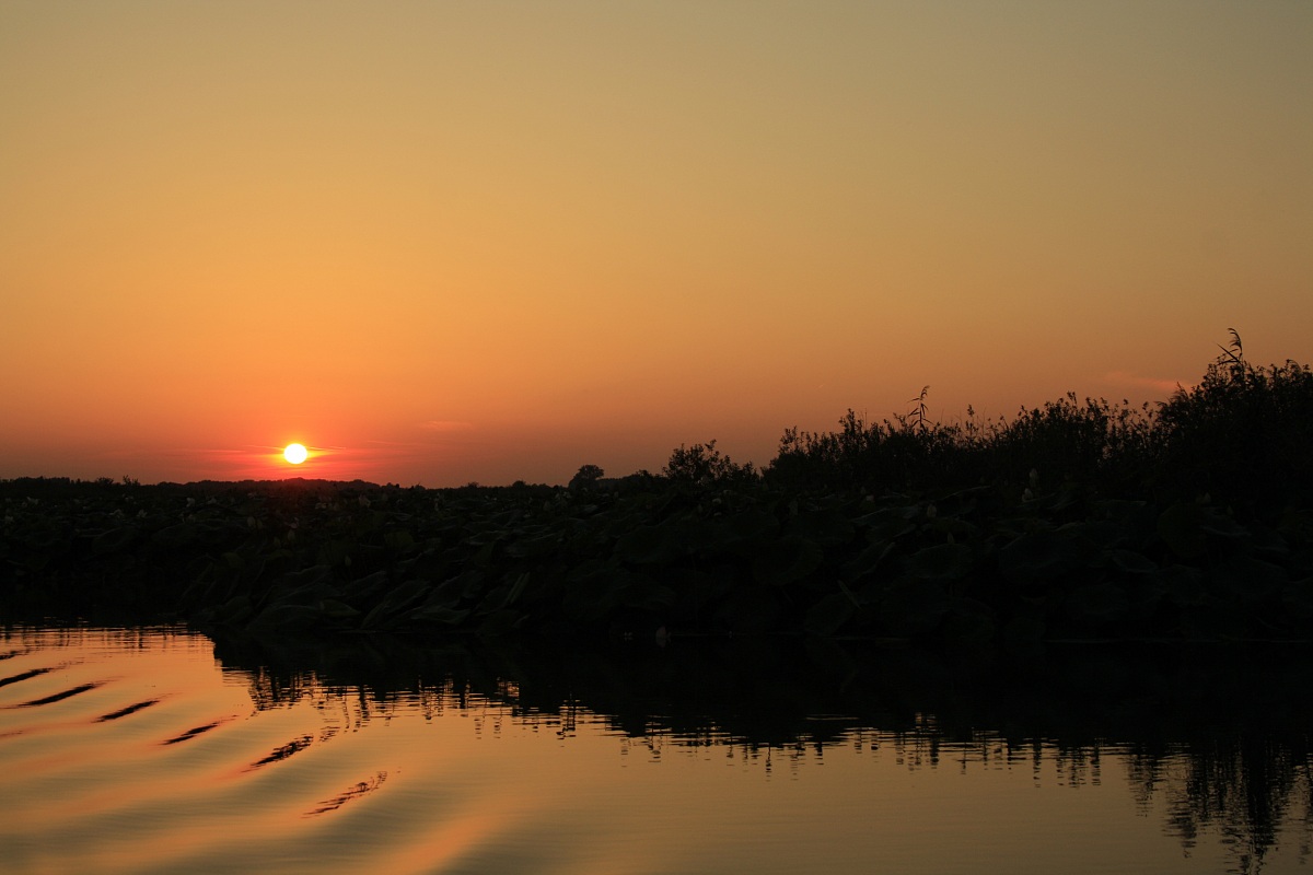 Sunset on the Mincio, among the flowers of Lotus