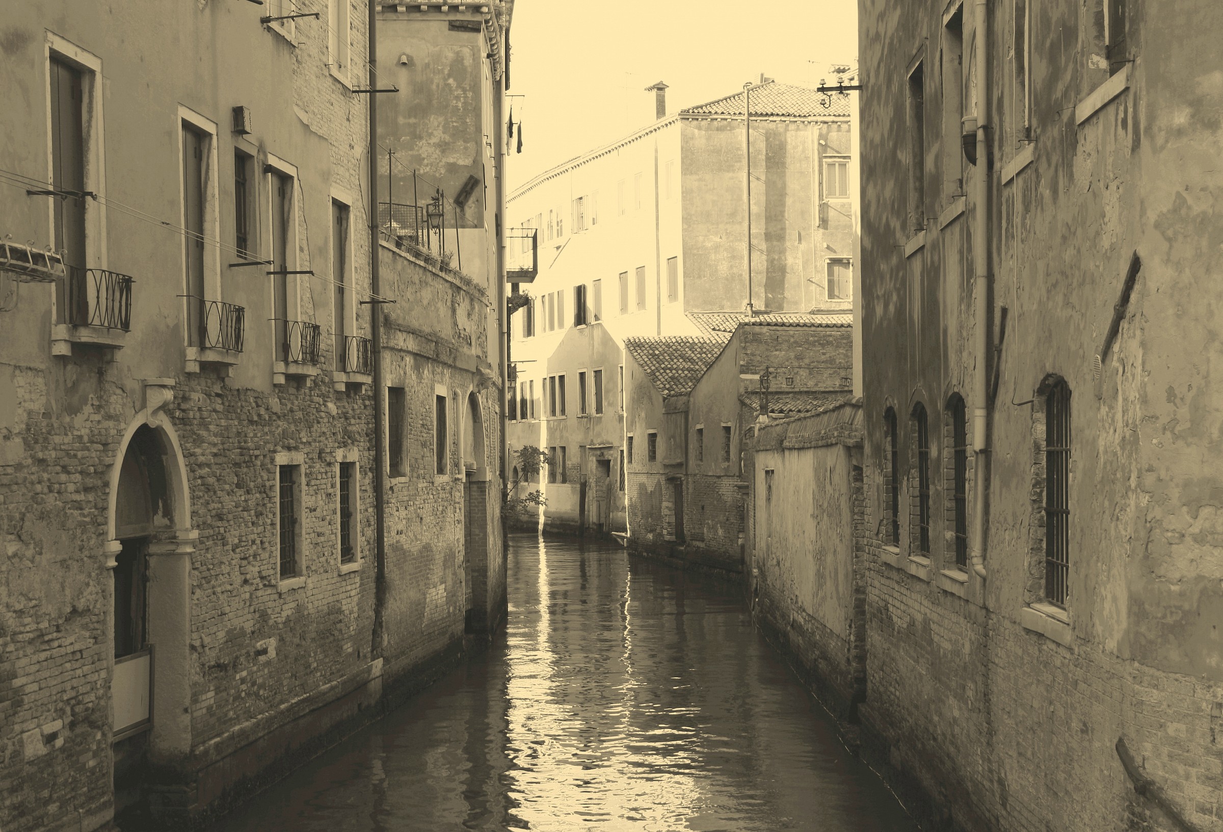 Glimpses into the lagoon