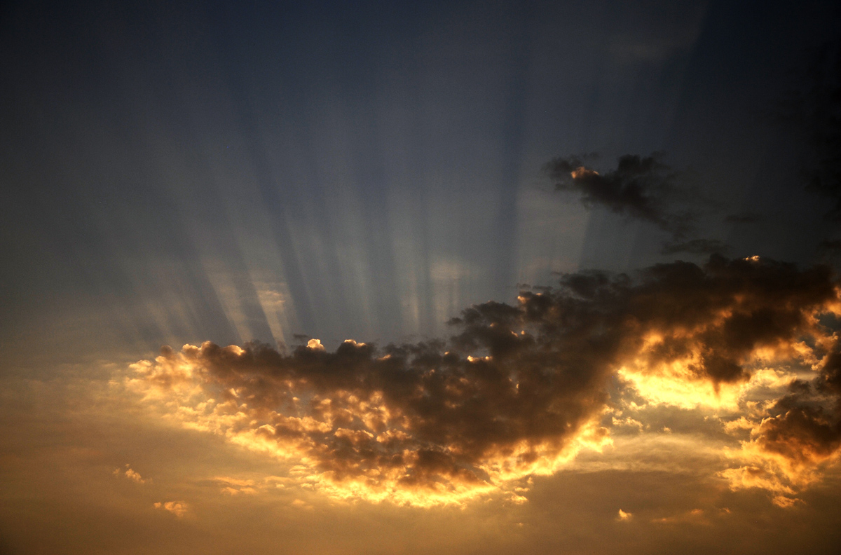 Riflessi in occhio d'oro