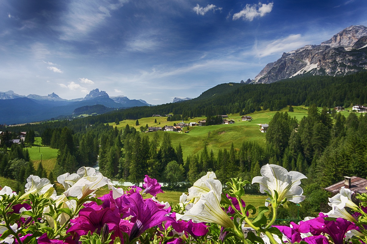 Postcard from Cortina ...