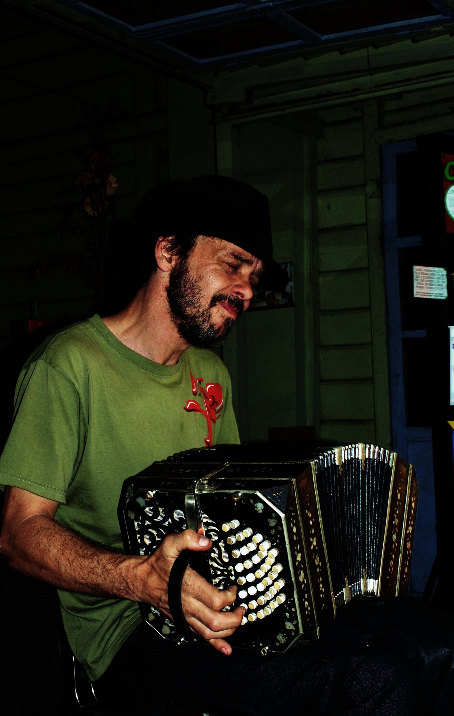 Bandoneon player
