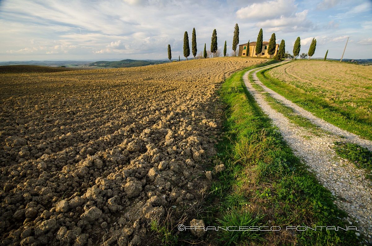 Terra toscana