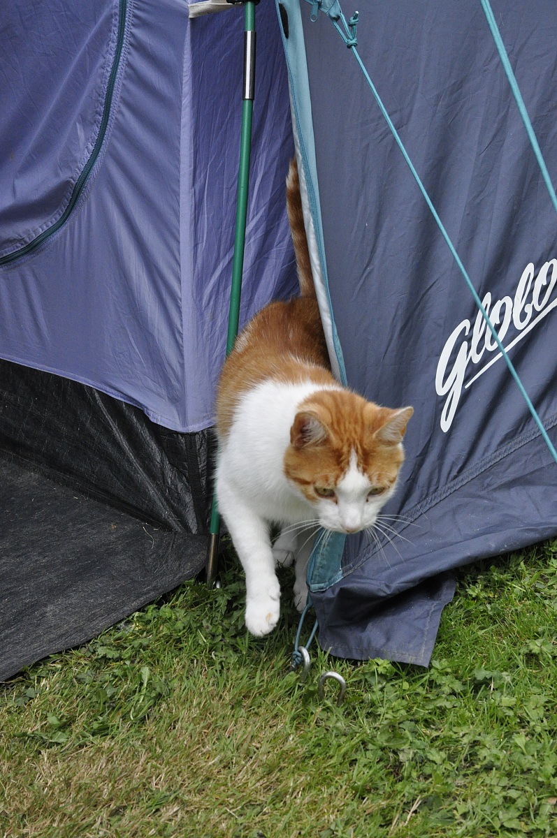 accidenti!!! non trovo il bagno.